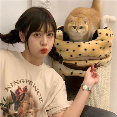 永康伴游女生星晓莉的资料